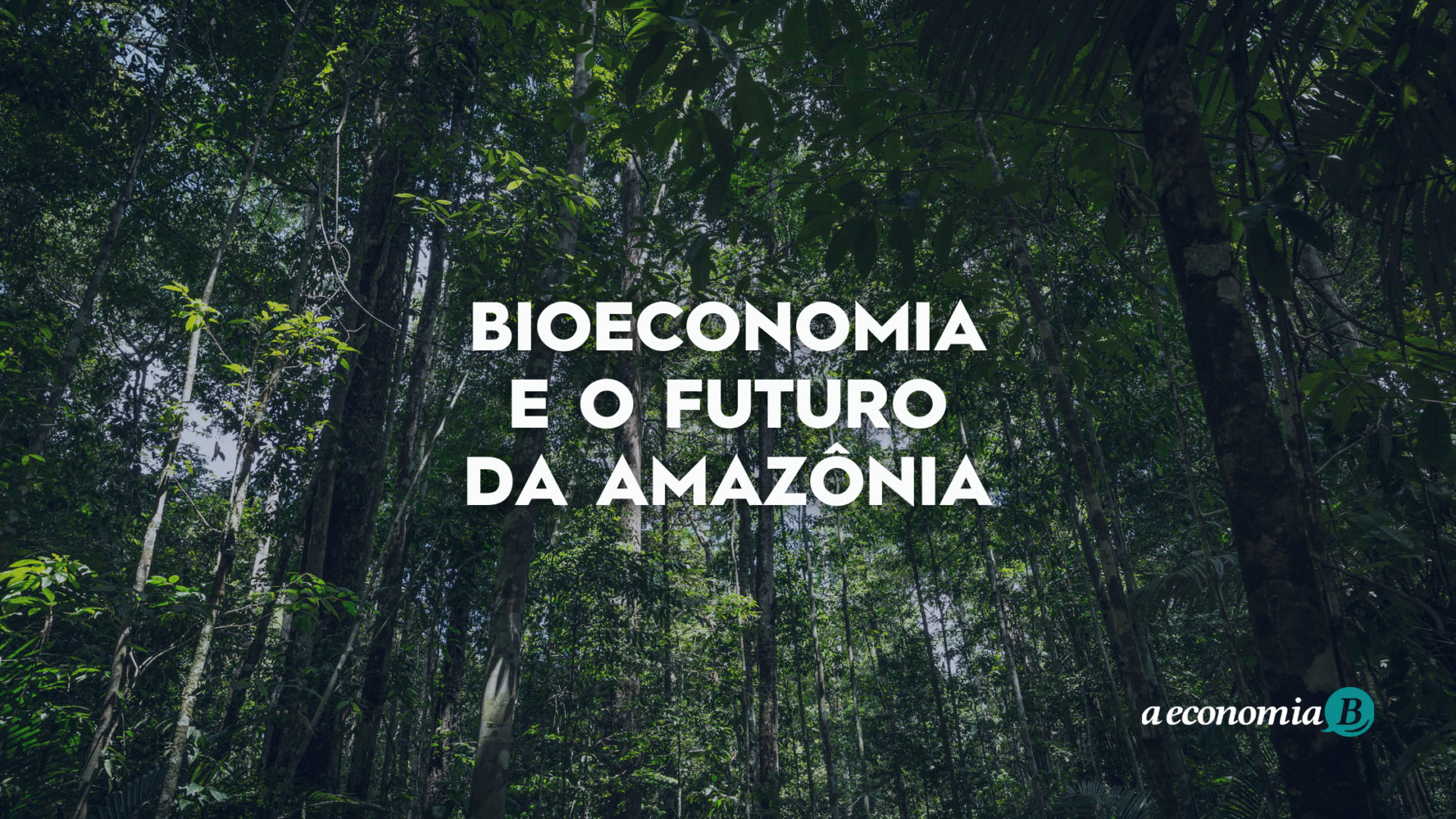 Bioeconomia Amazônica. by Publicações Ufopa - Issuu